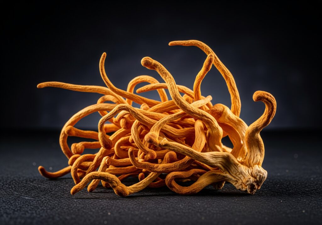 Macro shot of dried Cordyceps militaris mushrooms with elongated shapes and orange hue on a dark background.